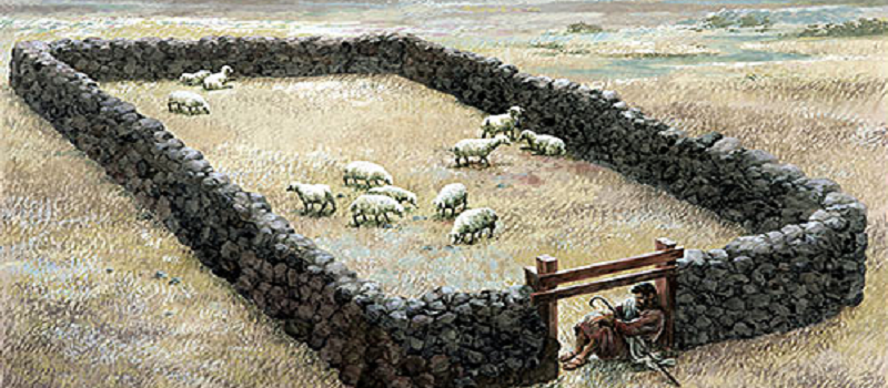 Jesus is the door of the sheep