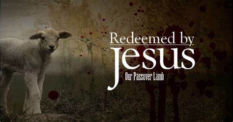 Jesus is the lamb of God