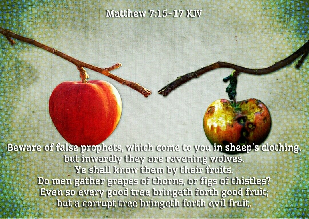 By their fruit