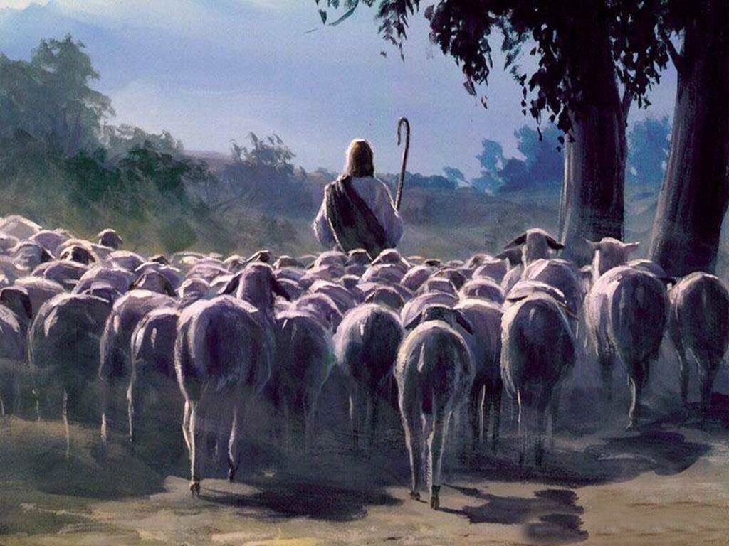 The sheep shall inherit the kingdom