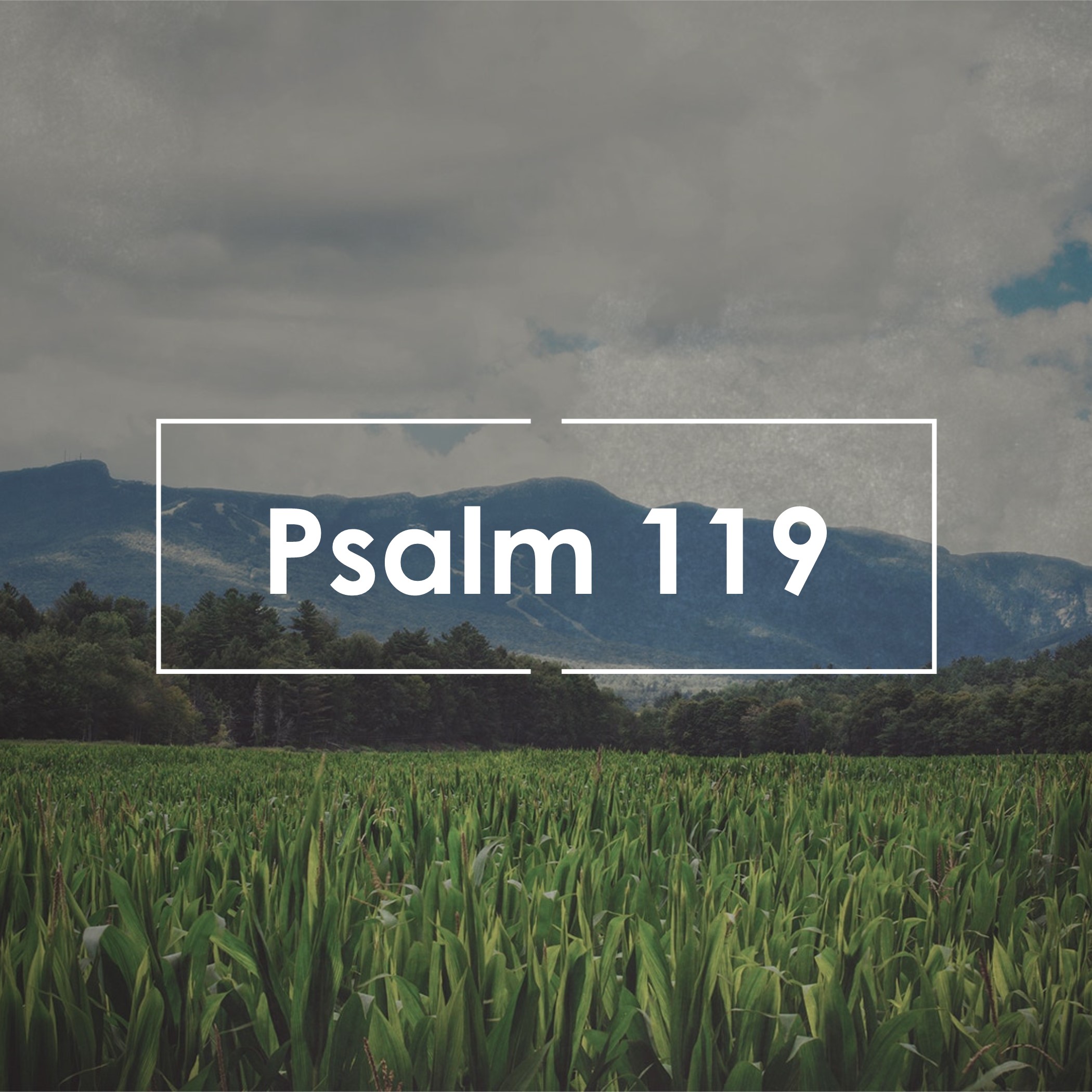 Psalm 119