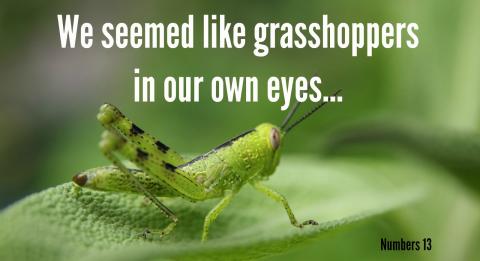 We seemed like grasshoppers in our own eyes