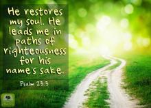 Psalm 23:3