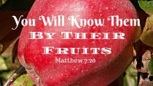 You will know them by their fruit