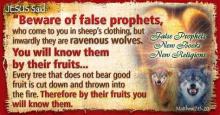 Beware of false prophets